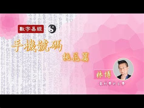 天医+延年|天醫生氣延年：風水大師的建議